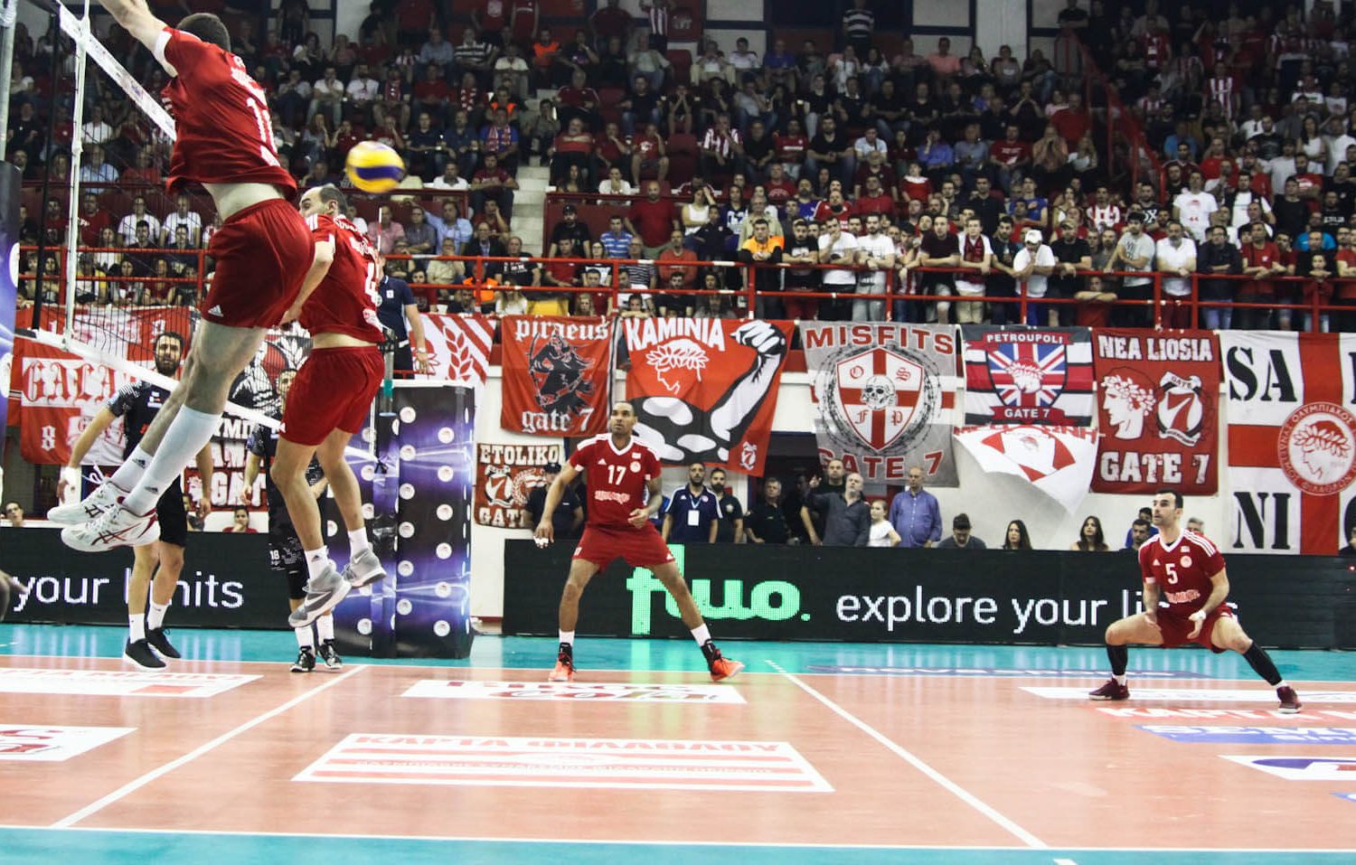 fluo-cosmosadv (4) fluo-cosmosadv (4)